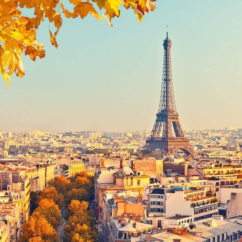 shutterstock_317347868